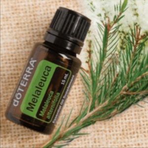 Doterra melaleuca tea tree oil 15 ml